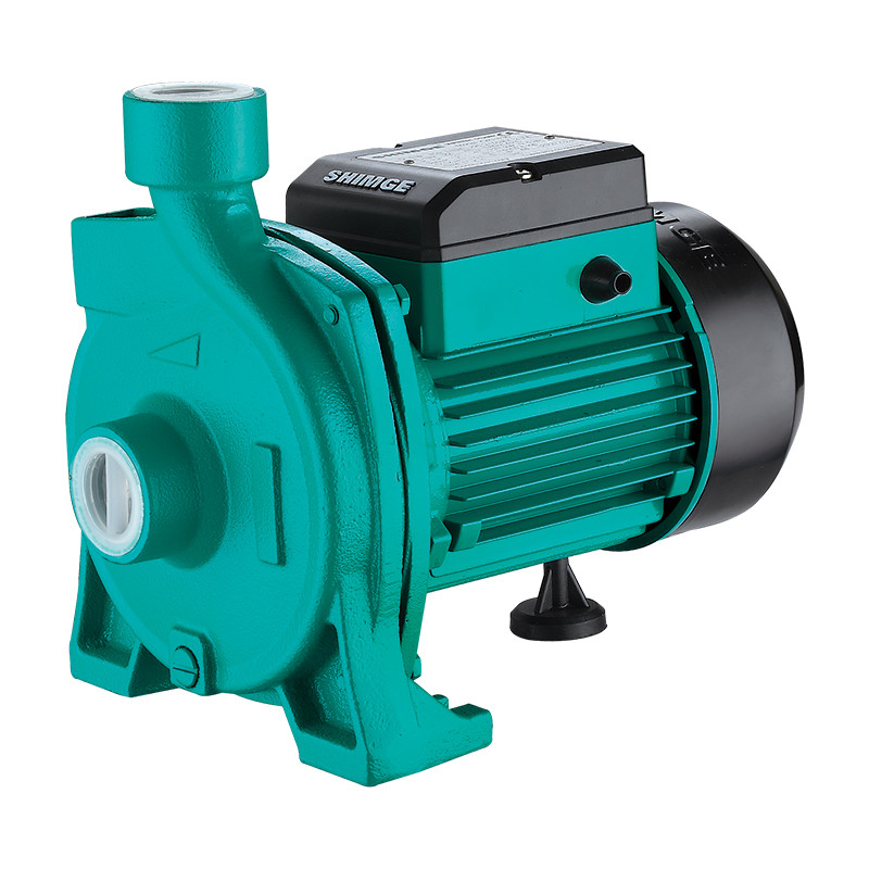 Bơm ly tâm trục ngang CPm750 (750W/220V/40℃)